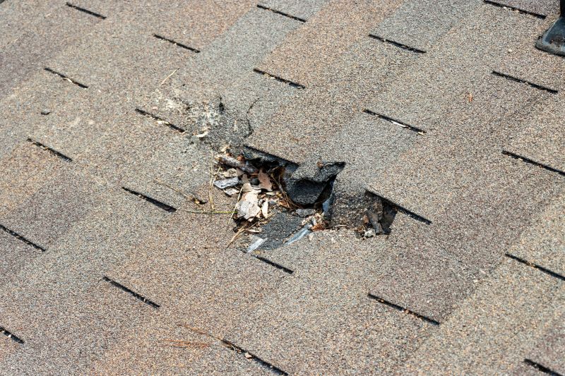 Damaged Roof Replacement in South Burlington, VT